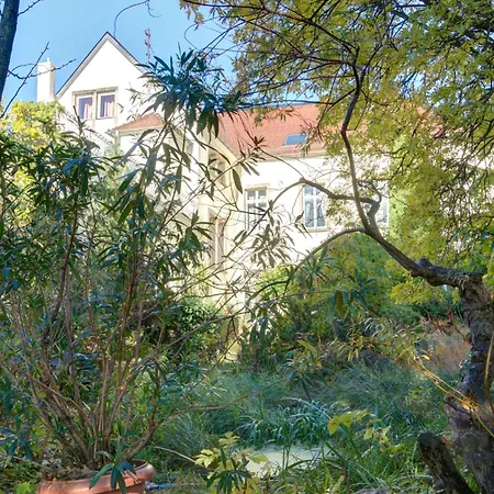Charmante Altbauwohnung Apartment